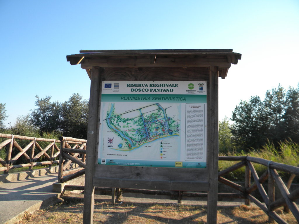 DSCN2600 .JPG
